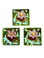 Set of 3 Art Nouveau Relief-Moulded Fireplace Tiles – Pink Clematis on  c.1900